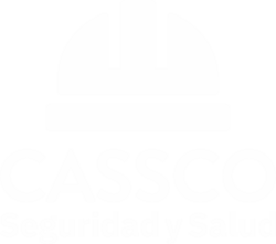 cassco.com.pe